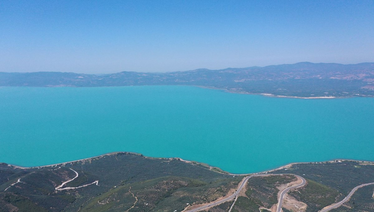 Alg nedir, alg patlaması neden olur? İznik Gölü'nü turkuaza boyadı!