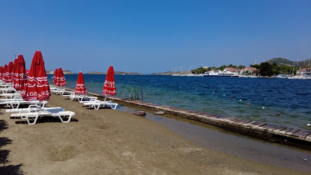 Foça'da plajları denizanası vurdu