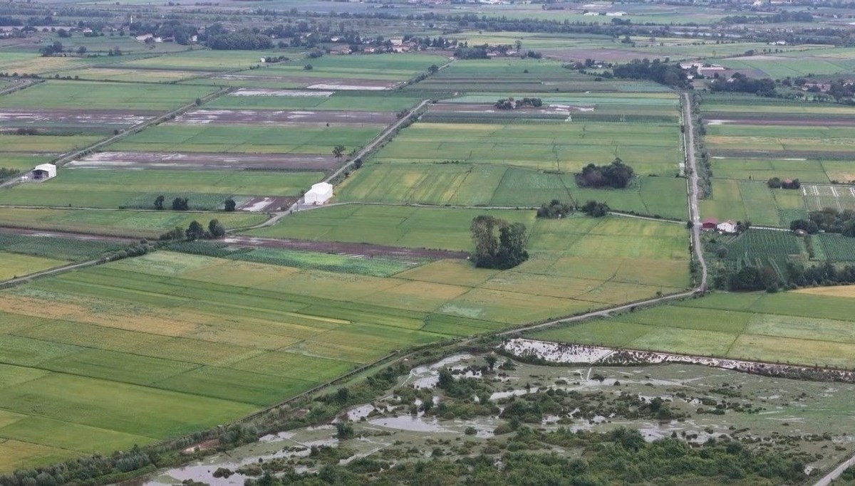 Bafra Ovası'nda tarım arazileri sular altında