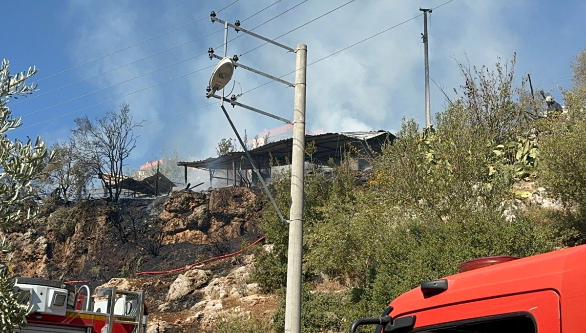 Ağılda çıkan yangında 50 hayvan telef oldu