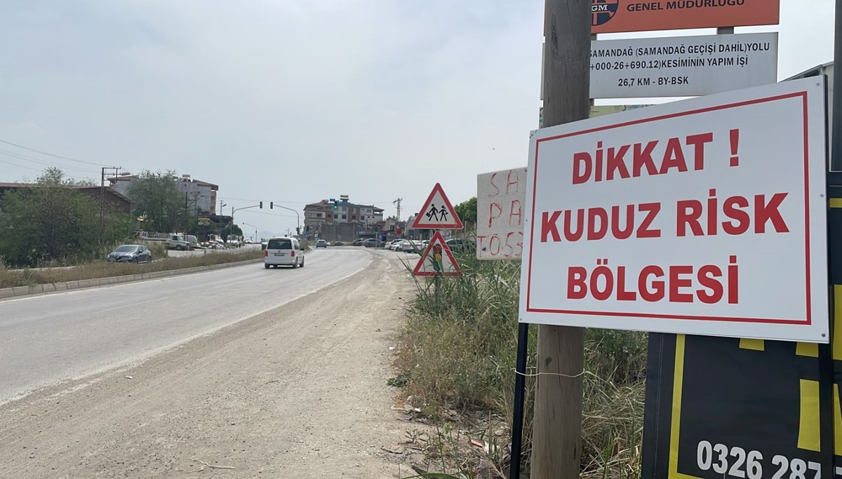 Hatay’da kuduz karantinası: Aşılama çalışması başladı