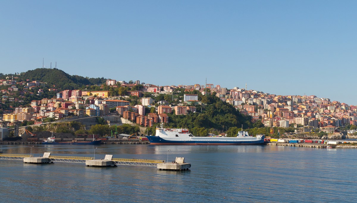 Zonguldak'ta karbonmonoksitten etkilenen engelli kadın öldü