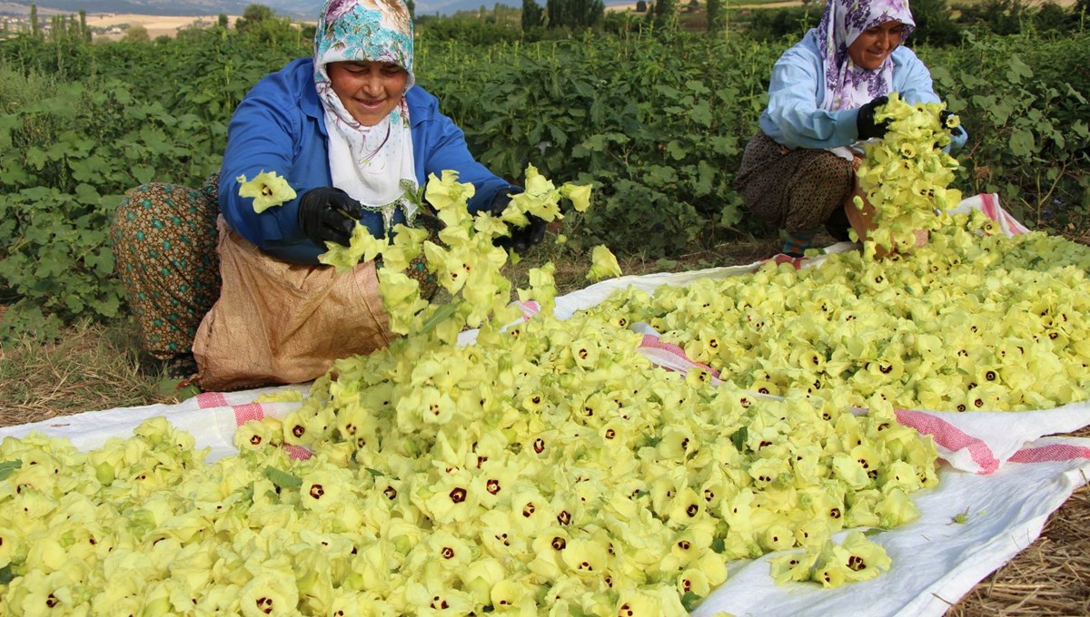 Türkiye'nin 