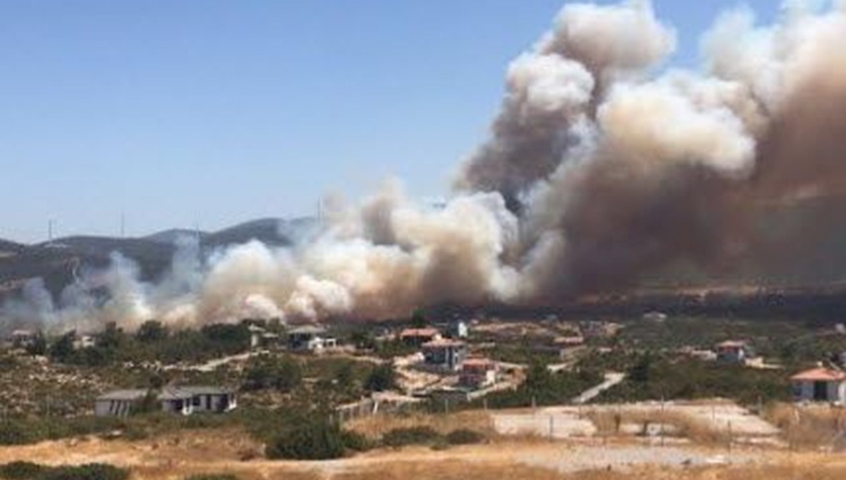 Aydın'daki maki yangınını çıkaran 3 şüpheli tutuklandı