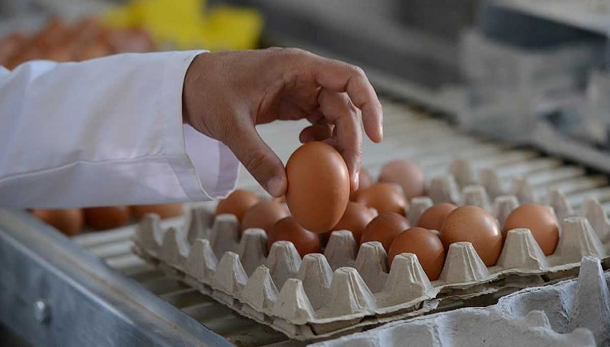 Bakanlıktan Tayvan'a ihraç edilen yumurtalarla ilgili inceleme