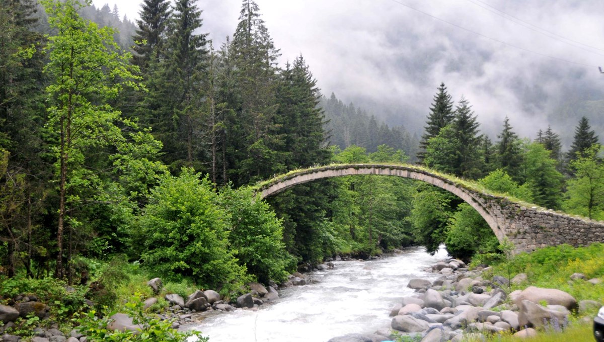 Sel ve heyelan sonrası Karadeniz'de şimdi de kuraklık tehlikesi