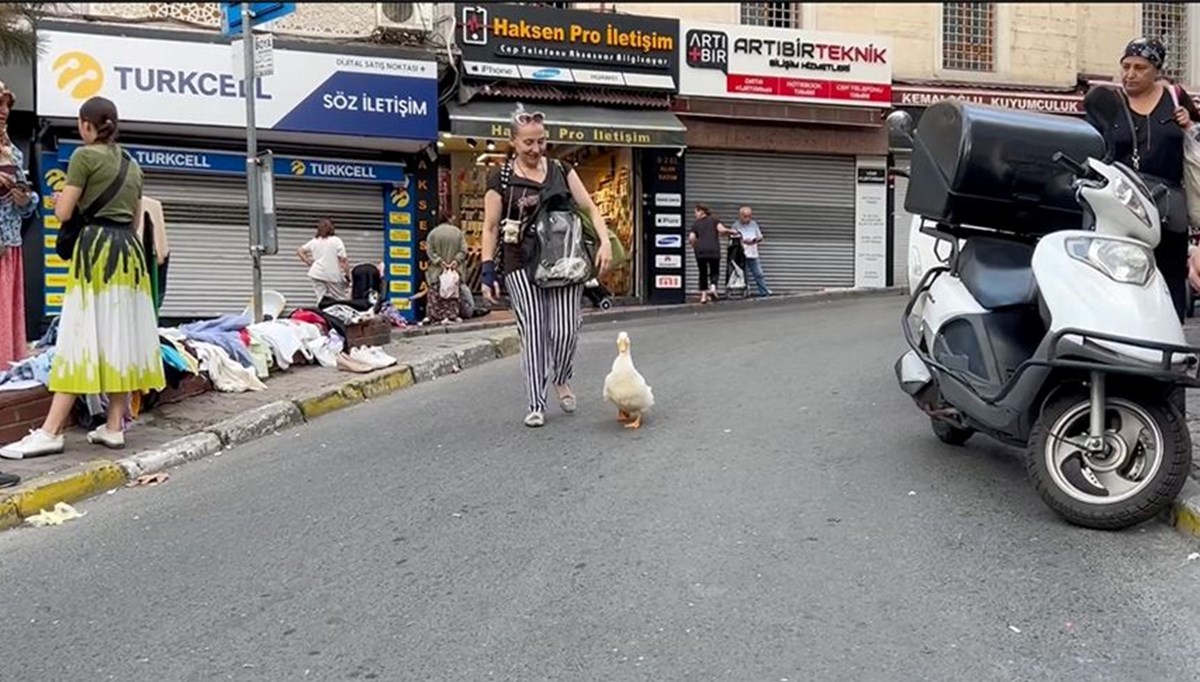 Alışverişe yanında götürdüğü ördeği pazarın maskotu oldu