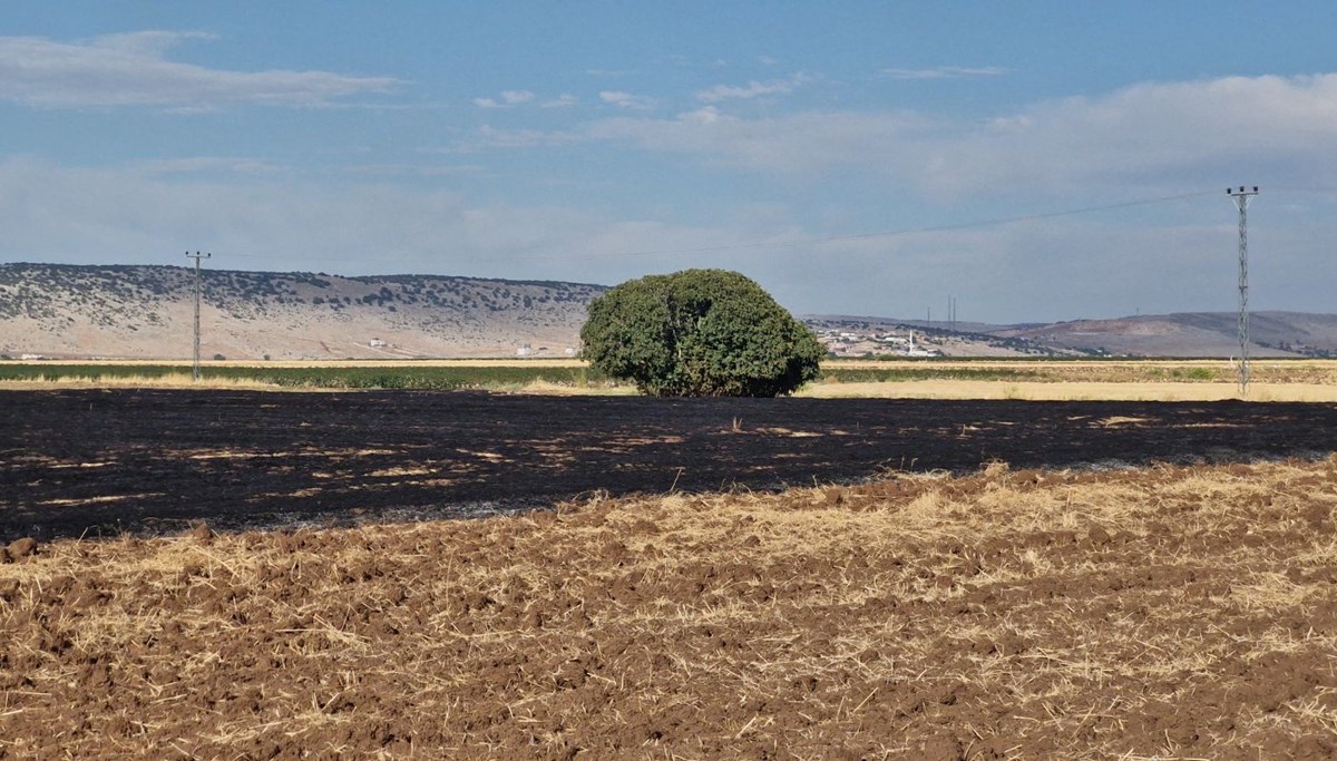 Diyarbakır'da anız yangınında 70 dönümlük arazi zarar gördü