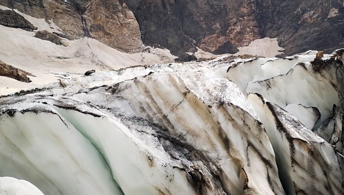 Hakkari'de korkutan tablo! Anadolu'nun en eski tanıkları, son 30 yılda yüzde 50'den fazlası yok oldu