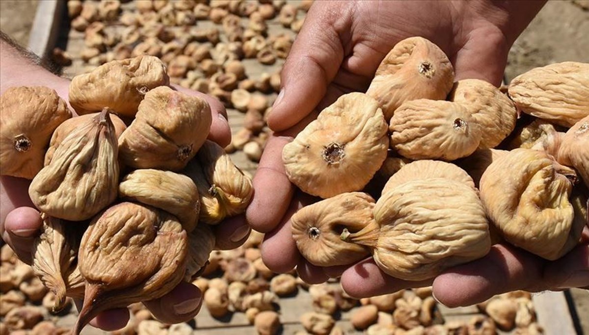 Dünyada en kalitelisi Türkiye’de yetişiyor: Sezonun ilk ürünleri tezgahtaki yerini aldı; kilosu 700 liradan satıldı