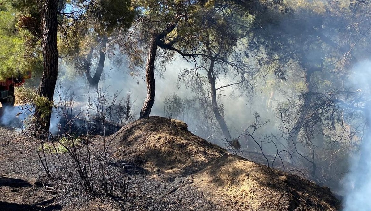 Manavgat'ta çıkan orman yangını söndürüldü