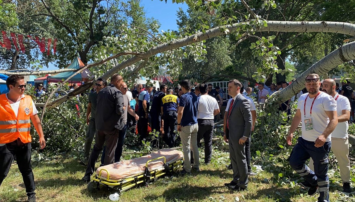 Kırkpınar'da ağaç altında kaldılar: 2 kadın yaralı