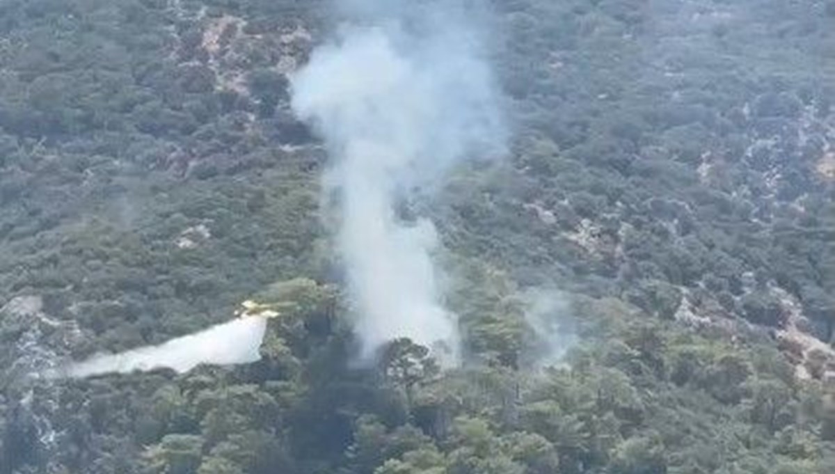 Muğla'da iki noktada orman yangını: Ekipler müdahale ediyor