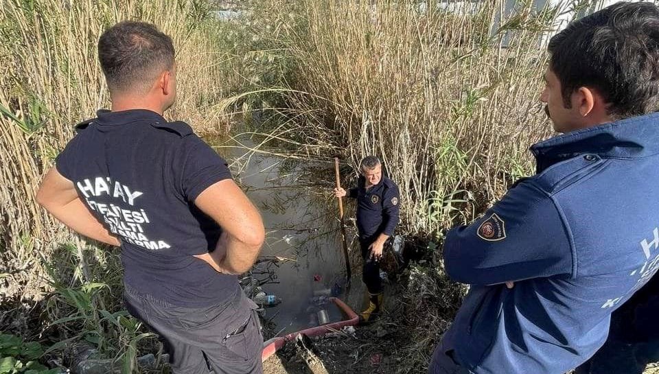 Giderde mahsur kalan köpekler kurtarıldı