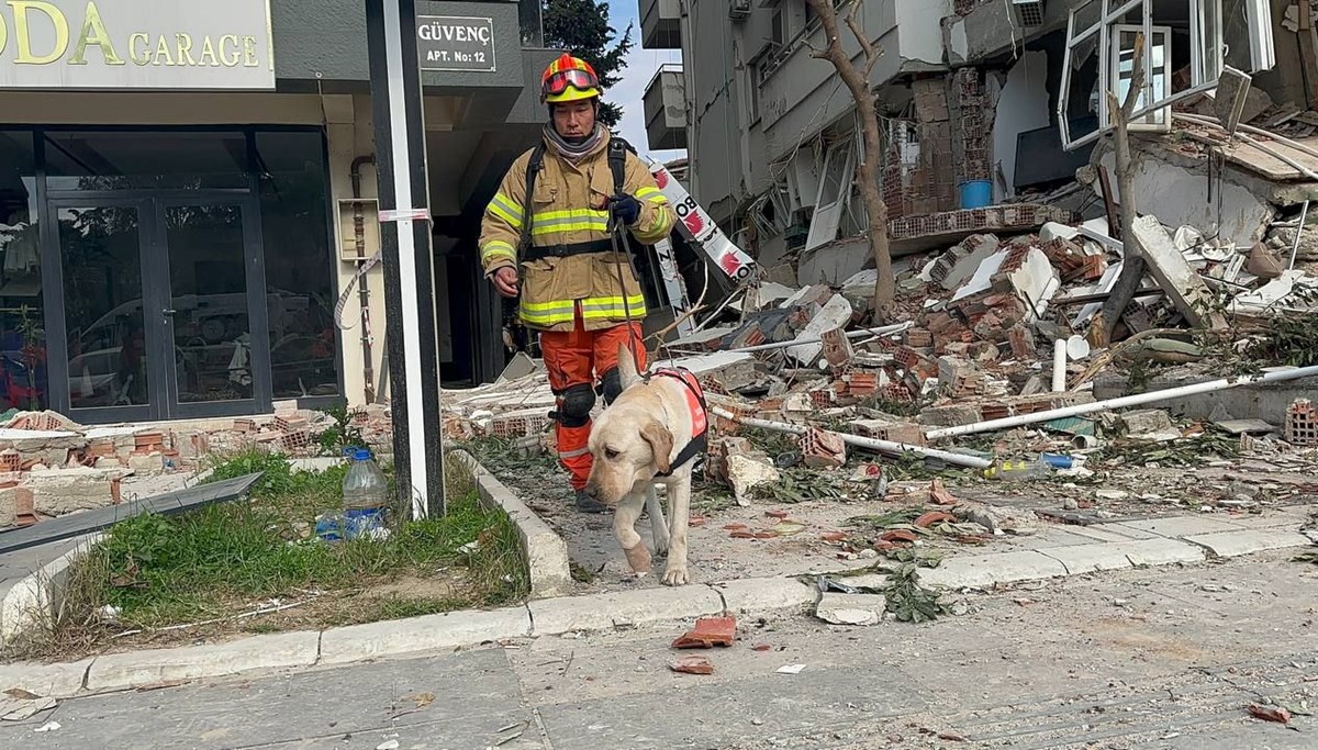 Güney Kore'den gelen 3 arama kurtarma köpeği ayaklarındaki bandajlarla çalışıyor