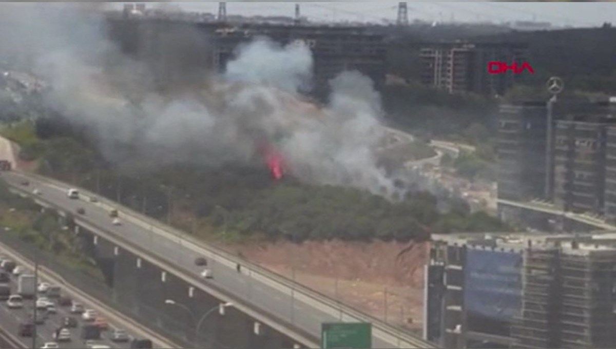 İstanbul’da TEM Otoyolu yanında orman yangını