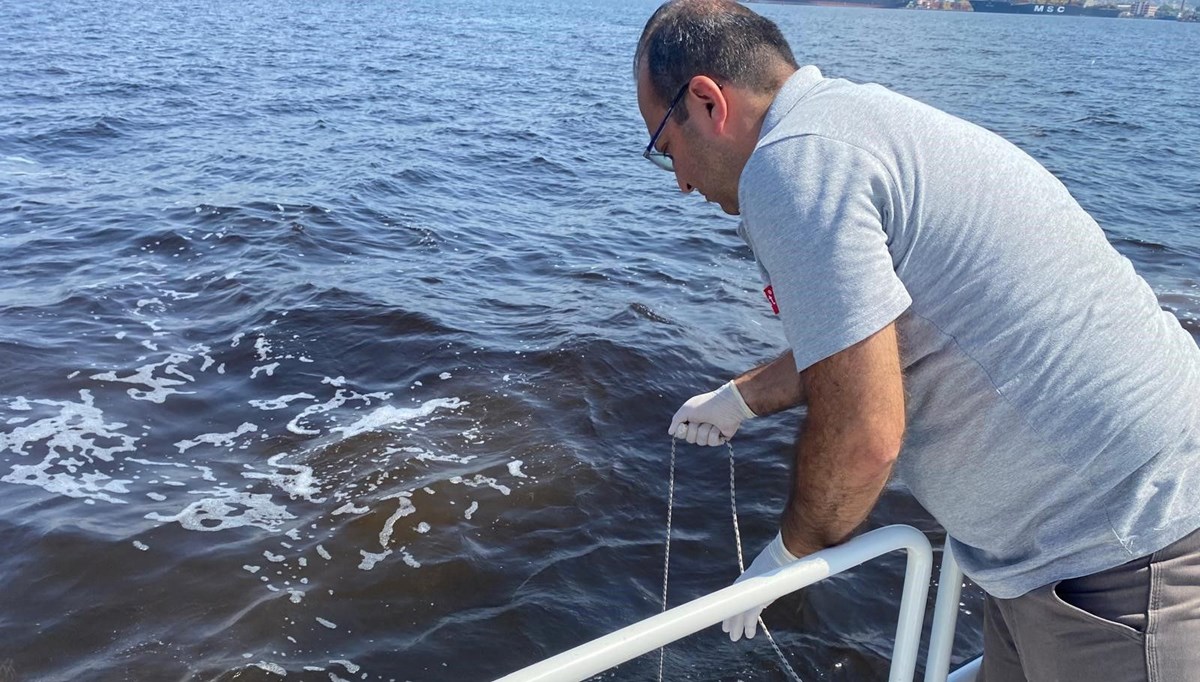 İzmir Körfezi’ndeki balık ölümlerine inceleme