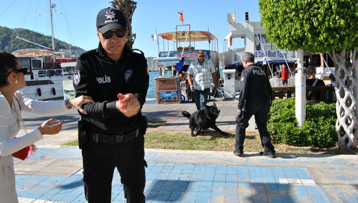 Muğla'da köpek saldırısında bir polis memuru yaralandı