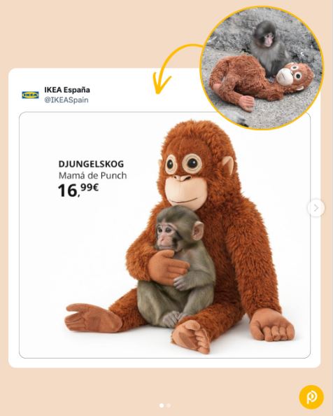 fdb18346-5510-4718-a632-9b1828df9c4a-369626.jfif