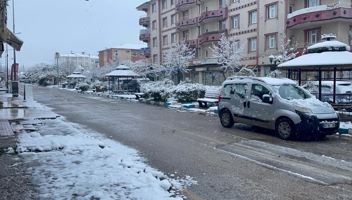 Van'ın Muradiye ilçesinde kar yağışı