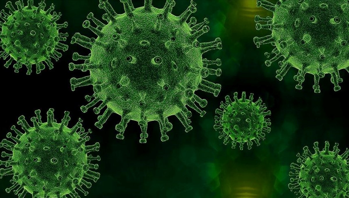 HIV virüsü belirtileri neler, nasıl bulaşır? HIV Enfeksiyonu (AIDS) bulaşma yolları