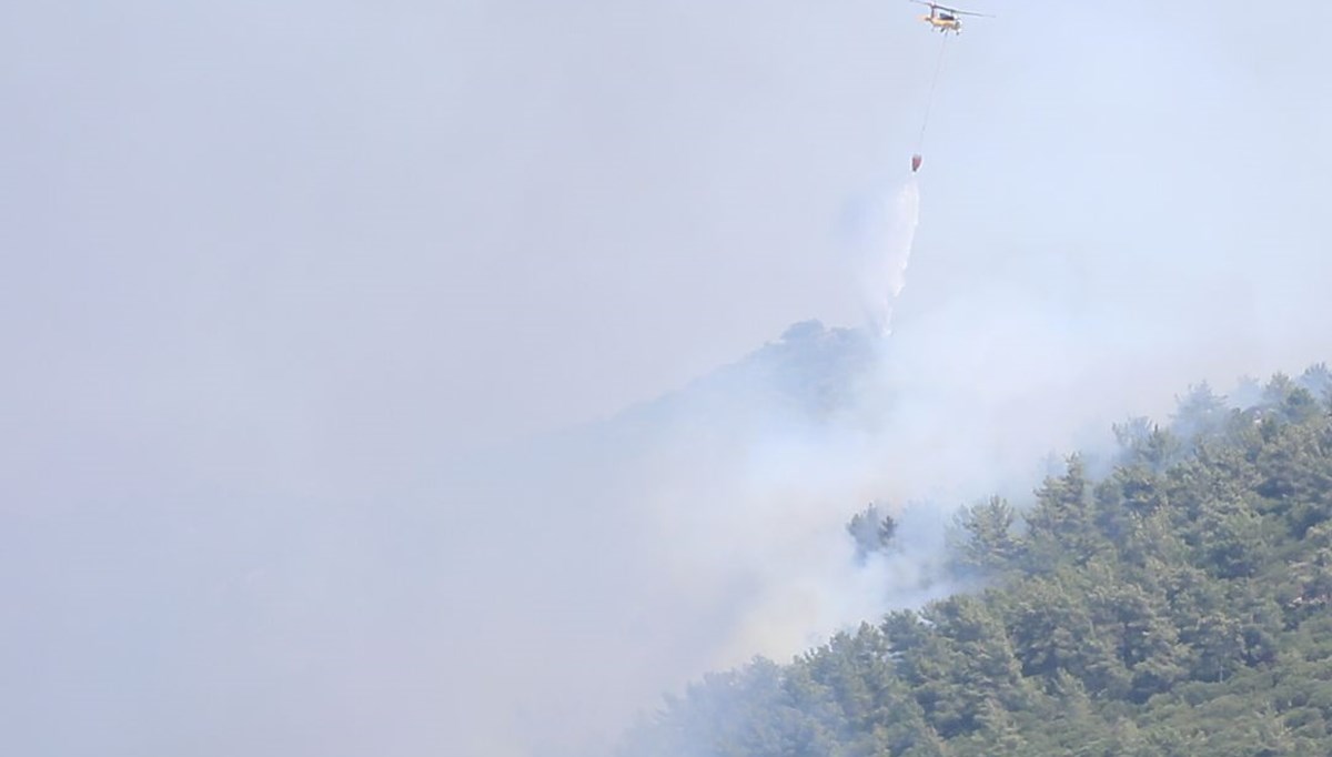 Bodrum'da orman yangını: 100 hektar alan zarar gördü