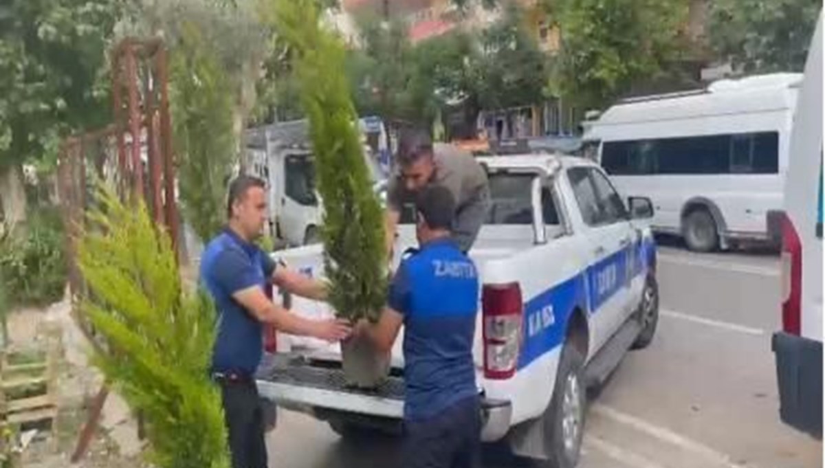 İş yeri önündeki dut ağacını kesen esnafa 10 fidan hibe etme cezası