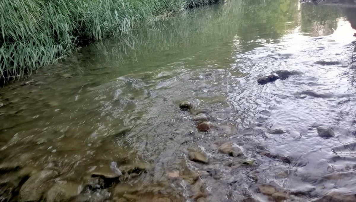 Ege Denizi’ne dökülen akarsuda tedirgin eden görüntü! Vatandaşlar tedirgin