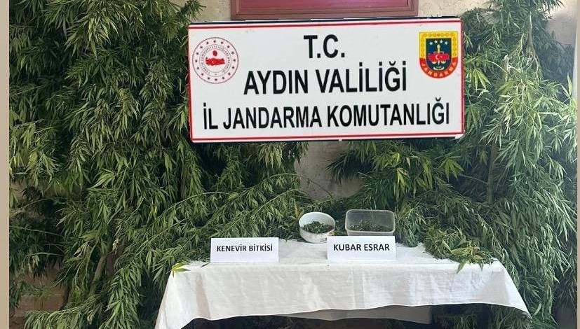 Germencik'te uyuşturucu operasyonu: Bir kişi gözaltında