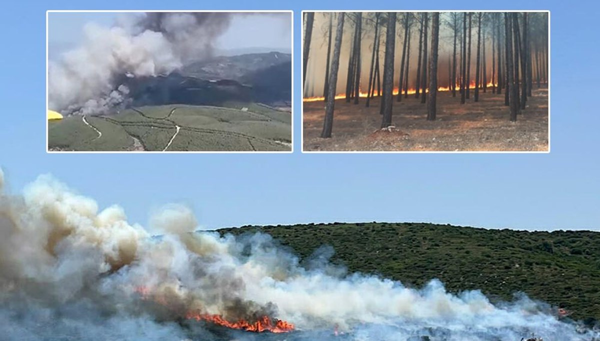 İzmir, Muğla, Balıkesir ve Kahramanmaraş’ta orman yangınları