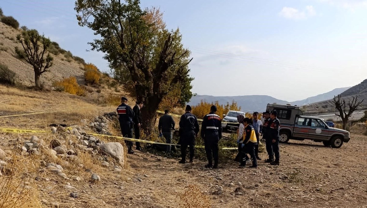 Ağaç budarken düşen yaşlı adam hayatını kaybetti