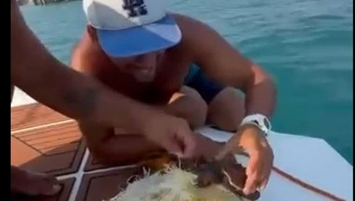 Alanya'da çuvala dolanan caretta caretta yavrusu kurtarıldı