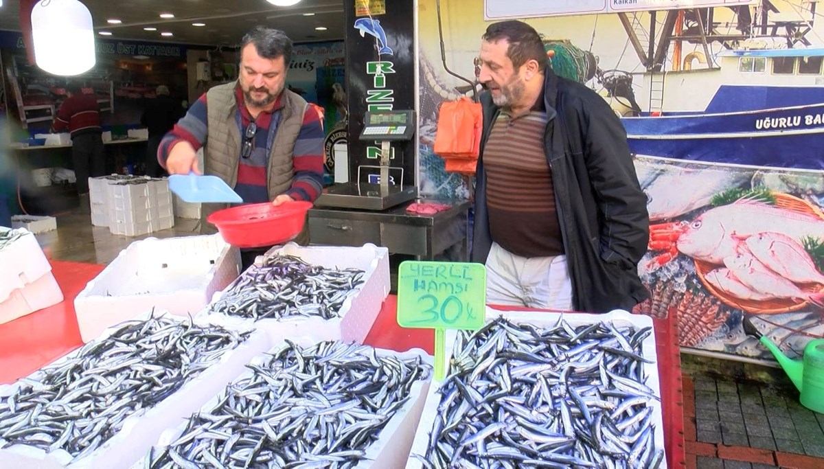 Karadeniz'de palamudun yerini hamsi aldı