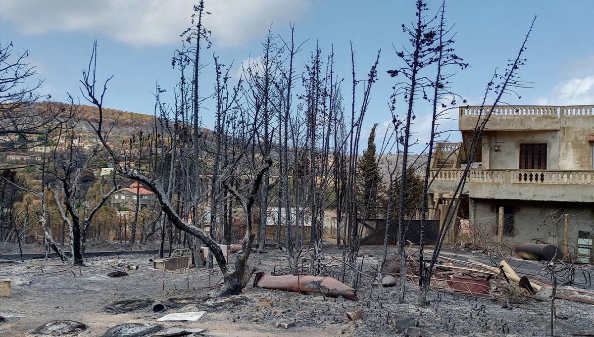 Tunus'taki orman yangınları küçük çiftçilere büyük zarar verdi