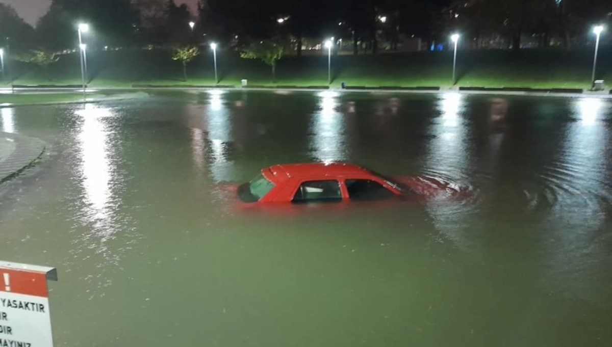 Park halindeki aracını çıkarmak isterken gölete düştü