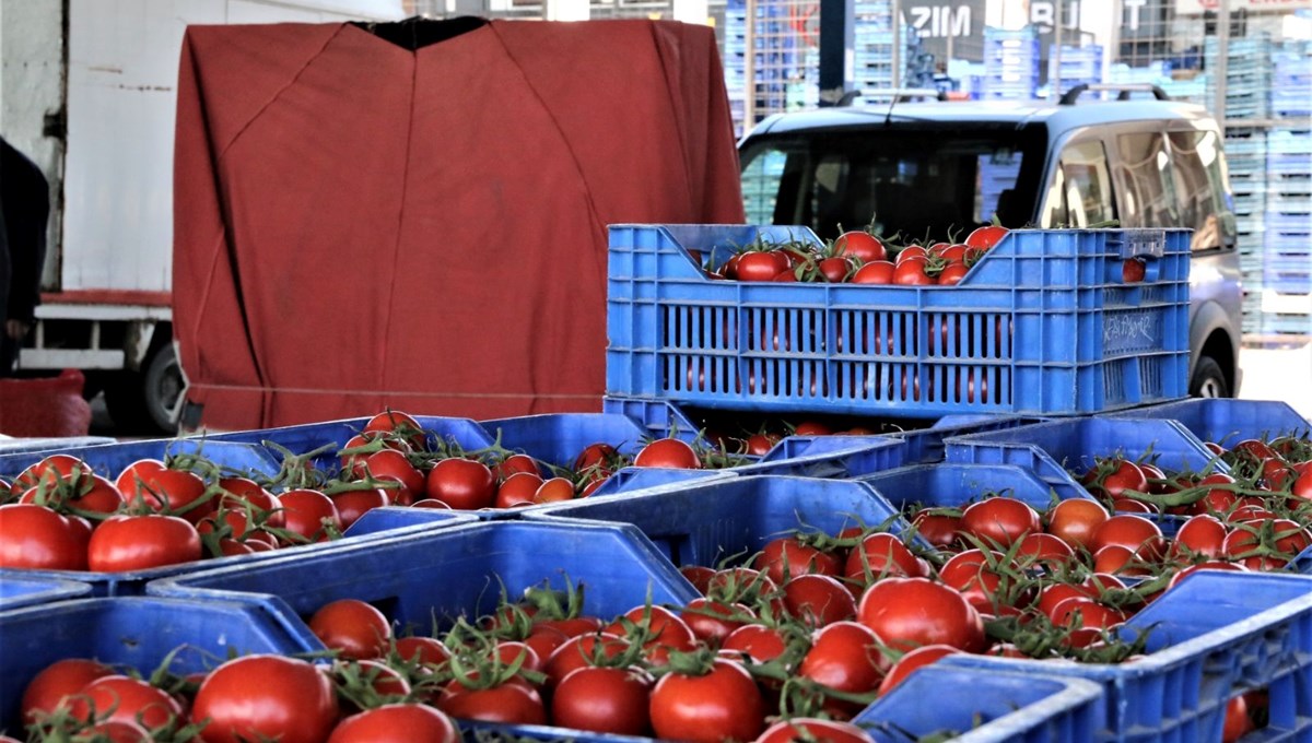 Antalya'da domatesin fiyatı arttı