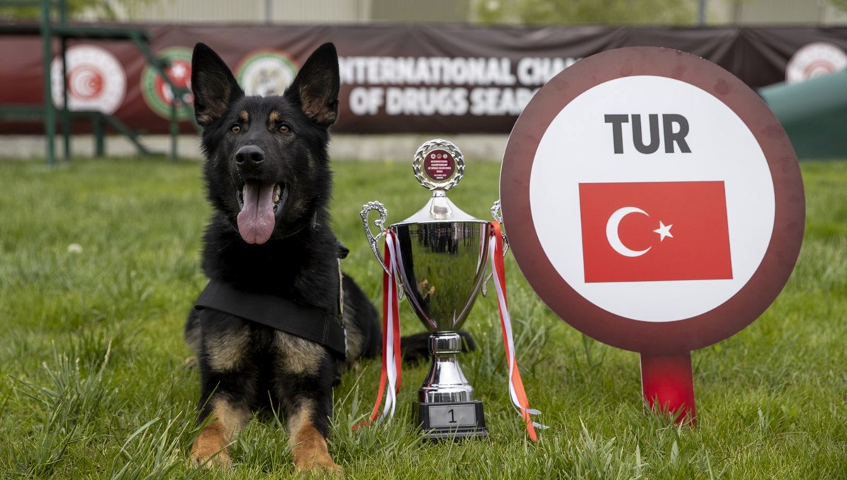 Uluslararası Narkotik Dedektör Köpekler Şampiyonası'nda Türkiye 