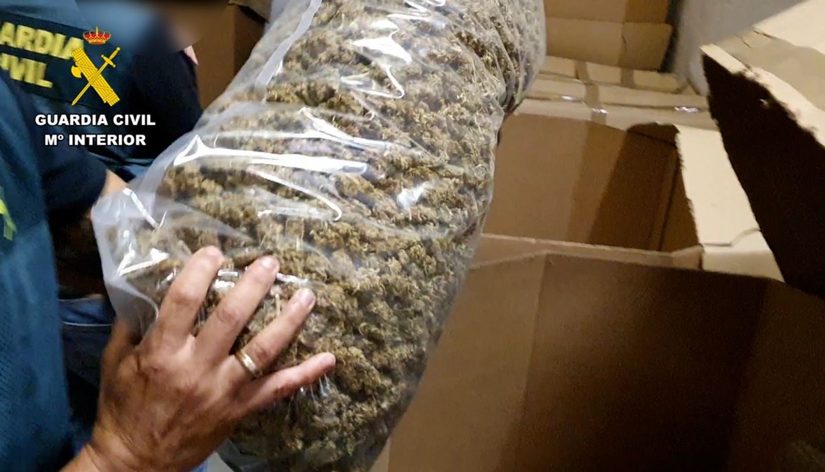 İspanyol polisi 32 ton marijuana ele geçirdi.