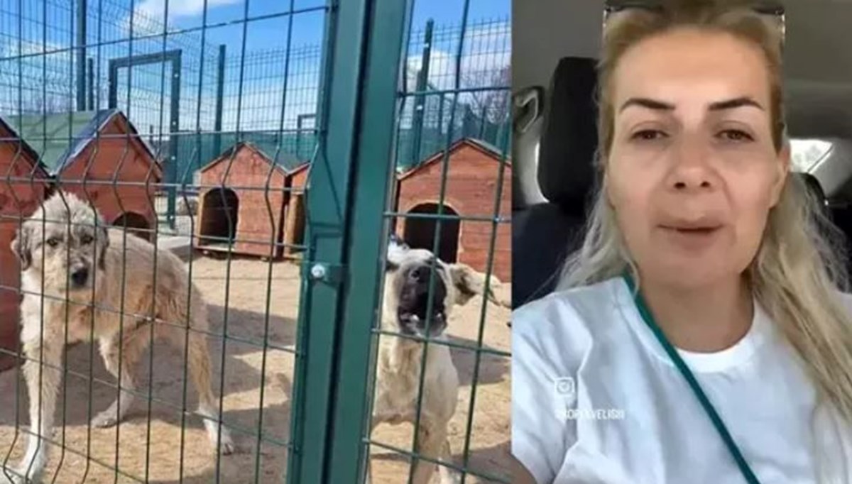 Köpekvelisi hesabının sahibi Buket Özgünlü kimdir?