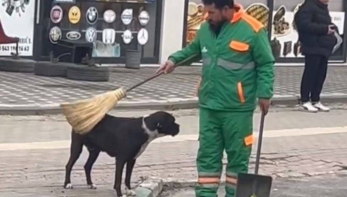 Bursa'da kalpleri ısıtan görüntü: Köpeği önce süpürgeyle kaşıdı sonra sevdi