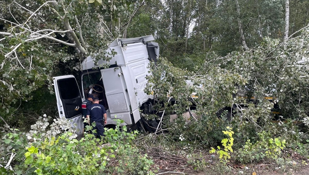 Sakarya'da feci kaza: TIR, ağaca çarptı