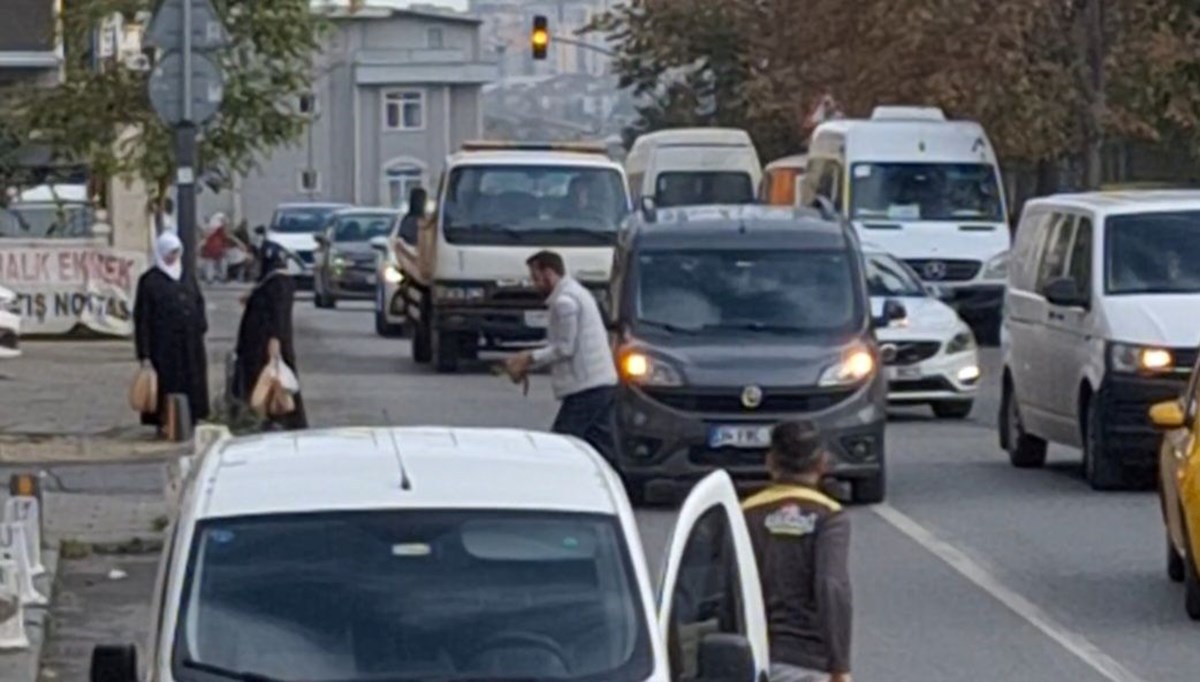 Trafiği durdurup kediyi ezilmekten kurtardı