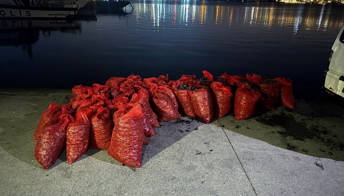 Üsküdar’da 2 ton kaçak midye ele geçirildi