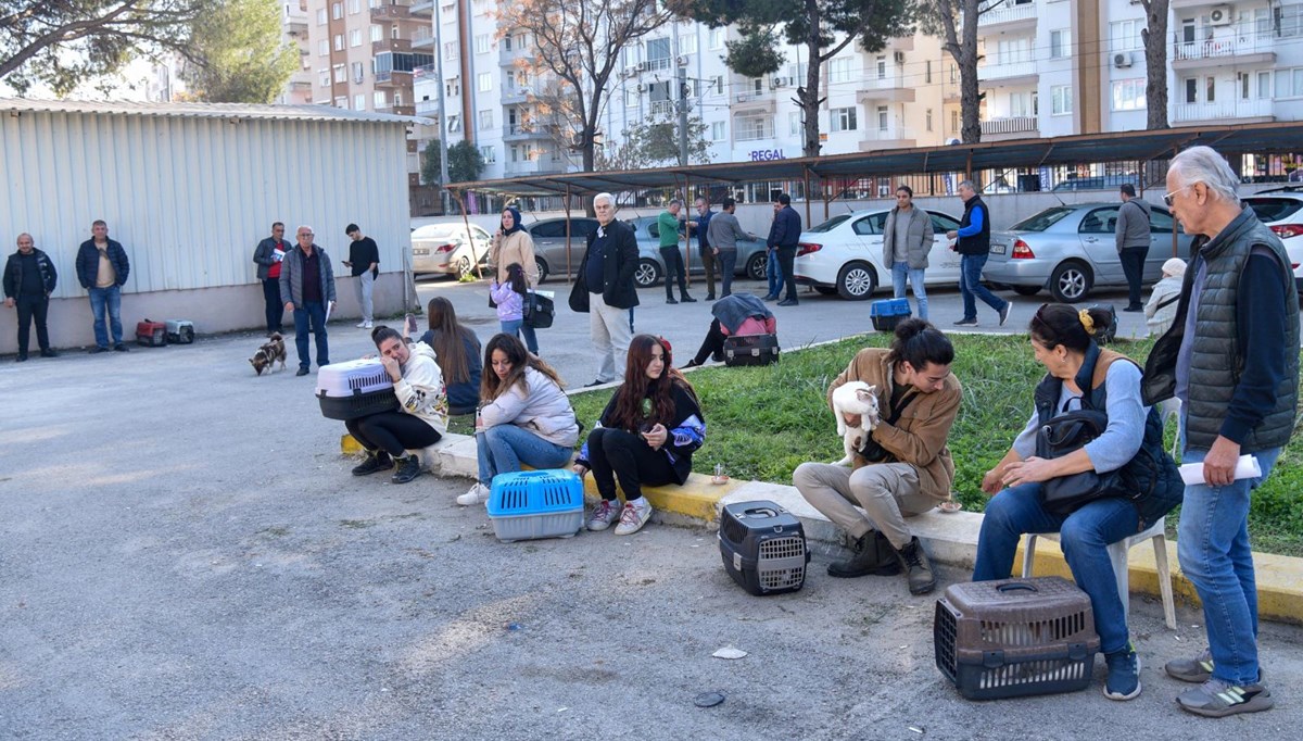 Evcil hayvan sahiplerinin 'çip taktırma’ sırası