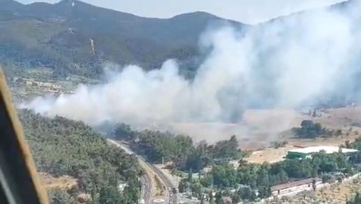 İzmir’de orman yangını: Havadan ve karadan müdahale ediliyor