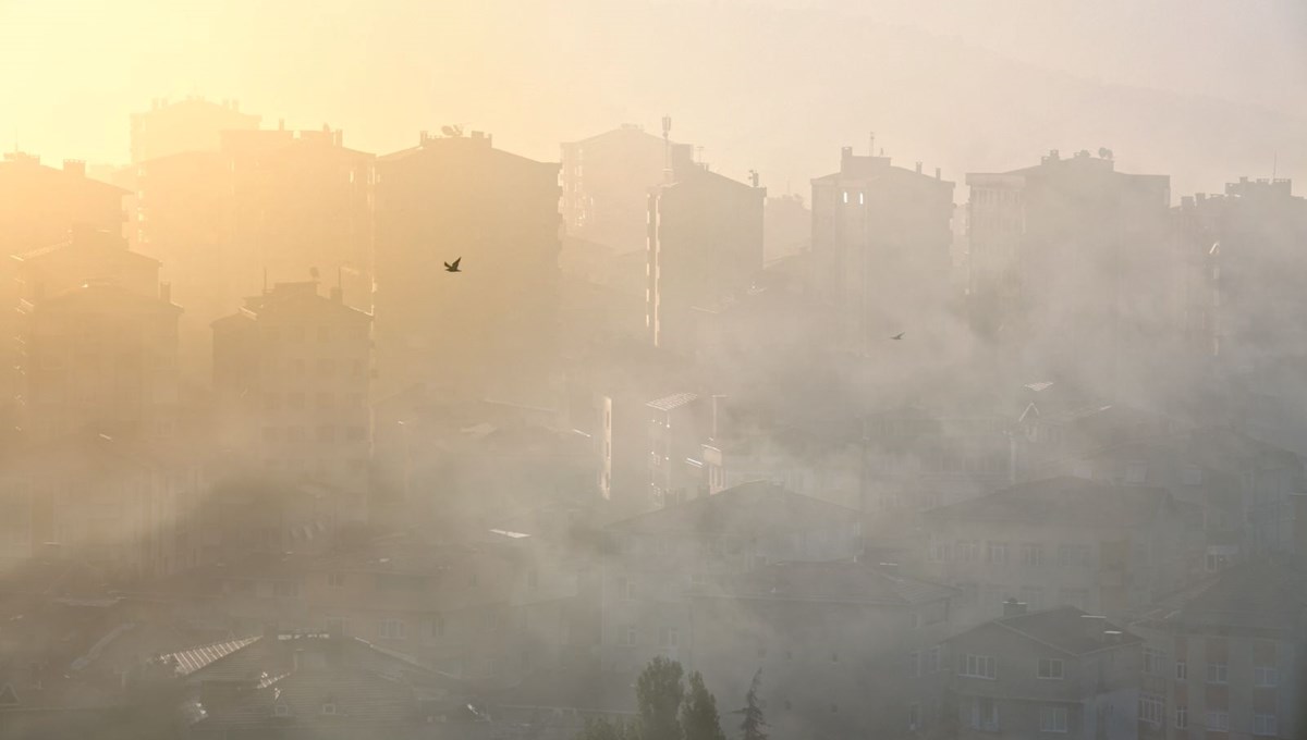 Yılda 400 bin ölüm: Avrupa'da herkes zehirli hava soluyor