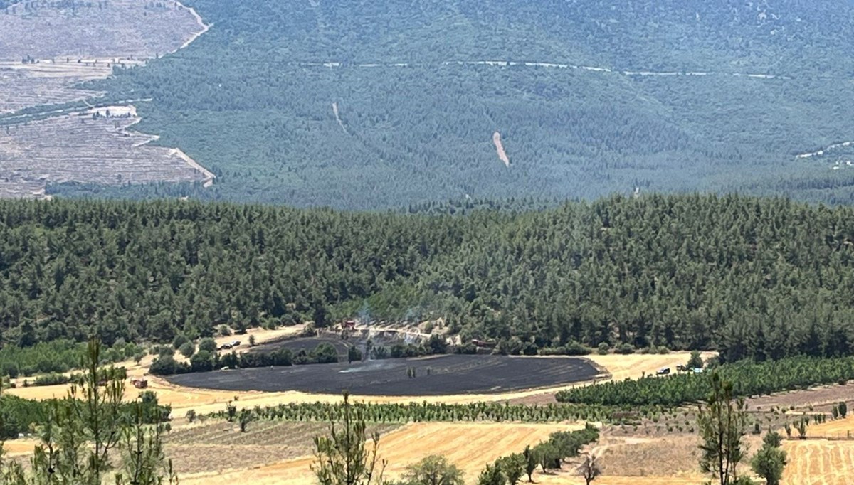 Denizli'de ormana yakın bölgede çıkan yangın söndürüldü