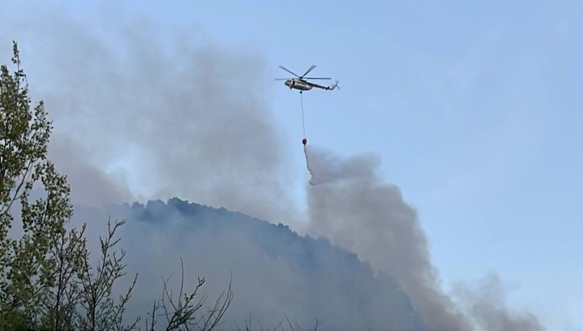 Safranbolu'da orman yangını