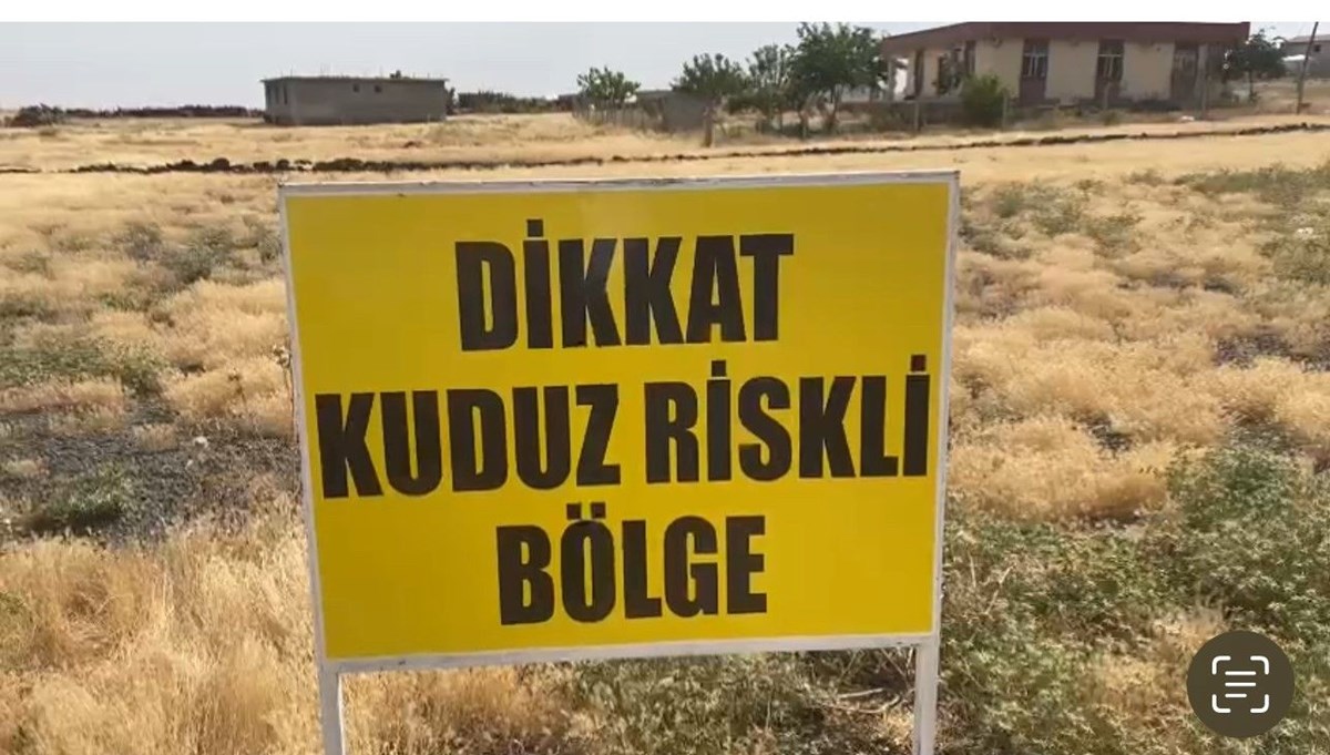 Şanlıurfa'da bir kuduz vakası daha