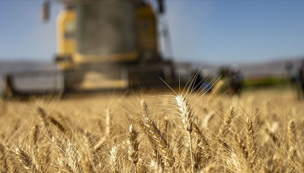 Tarımsal destekleme ödemeleri yattı mı, ne zaman yatacak? Bakanlık açıkladı